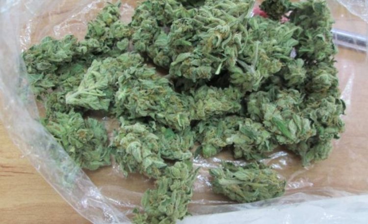 Задържаха трима младежи за притежание на марихуана