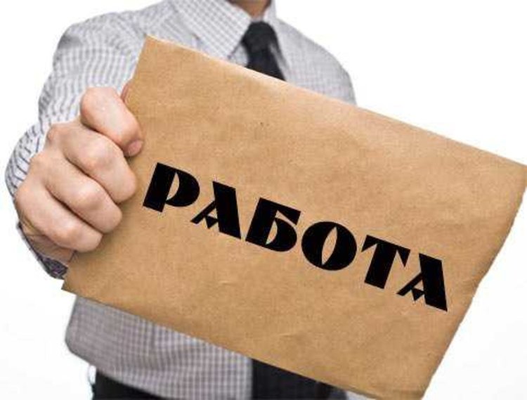 Свободни работни места, обявени на трудовата борса в Смолян към 29 ноември