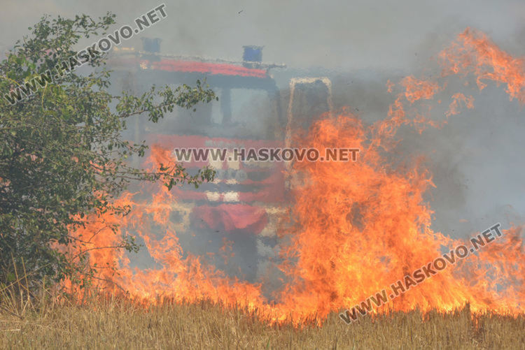 Голям пожар обхвана борова гора в Тополовградско