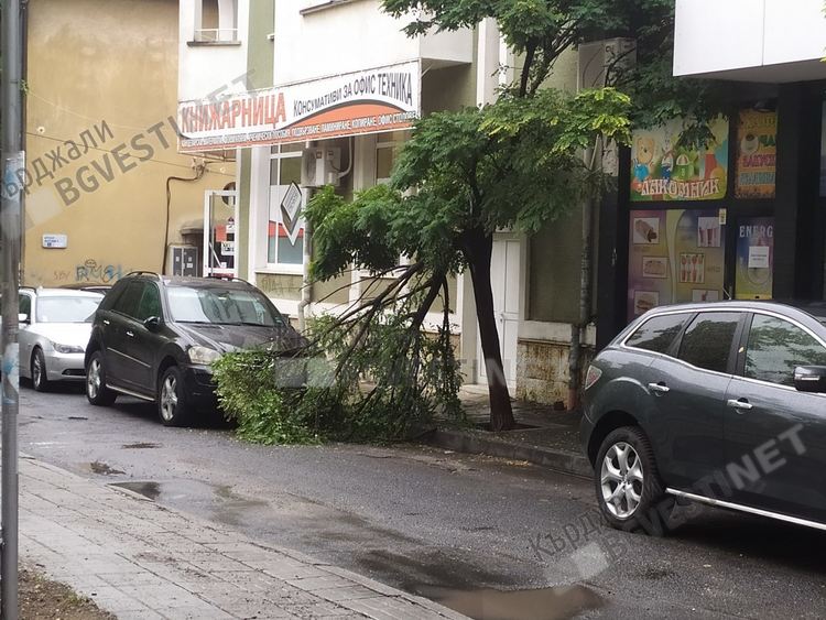 Оранжев код за опасен вятър в Кърджалийско, в града ще духа умерен