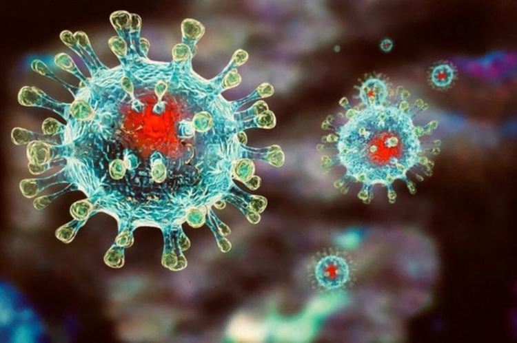 62 са излекувани през последната седмица
