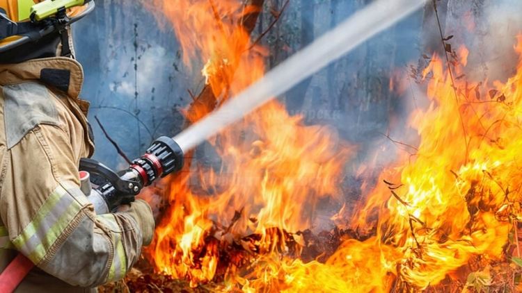 Къща горя в Широка лъка, спасиха смесена гора от пожар край с.Змейца