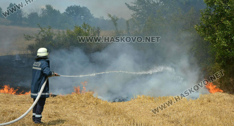 Пожар унищожи 200 дка гора