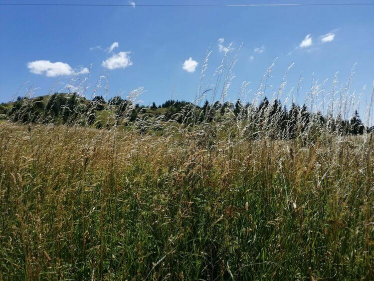 В планините ще преобладава слънчево време