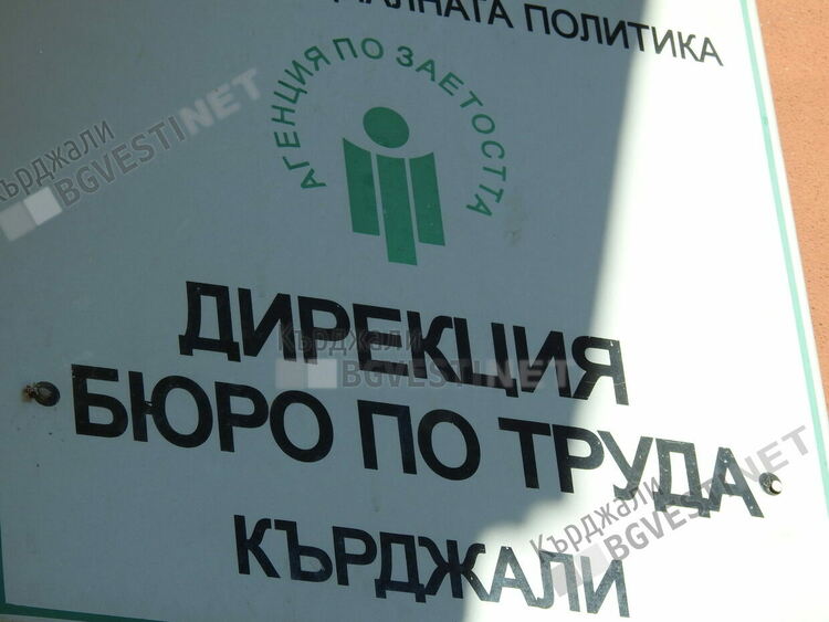 711 души излизат на трудовата борса за месец в Кърджалийско,най-много от сферата на услугите