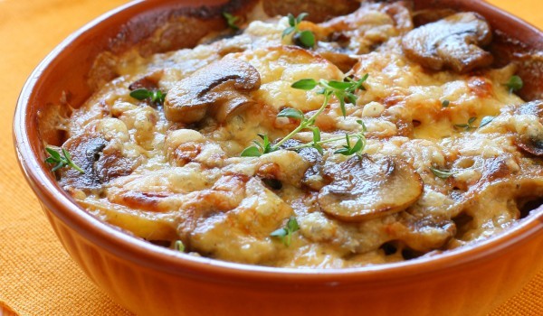 Плакия от гъби
