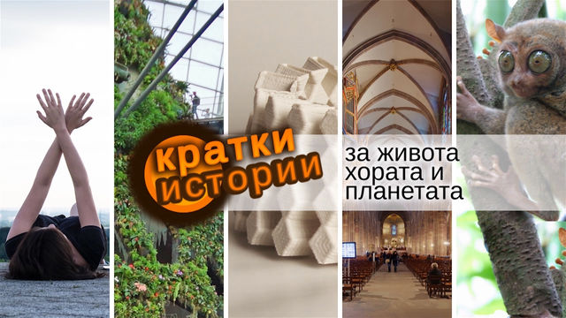 Кратки истории за живота, хората и планетата – Особени места 2