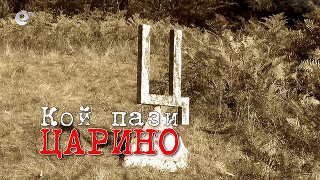 Кой пази Царино