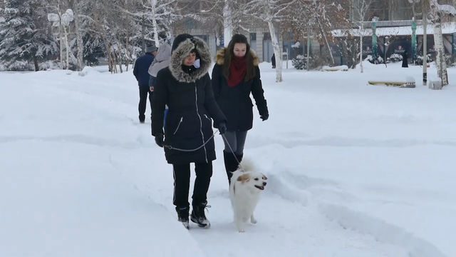 Отмениха частичното бедствено положение в Първомайско
