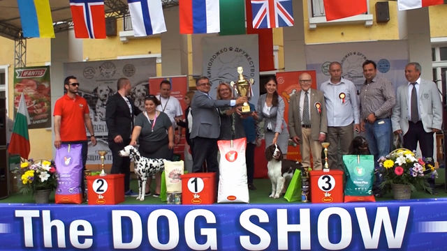 Кучето Форси е големият победител на киноложката изложба The Dog Show – 2017 Първомай