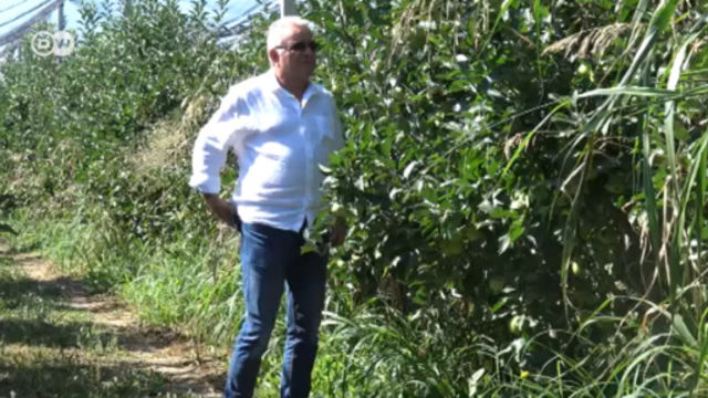 Красимир Кумчев: Какво ще ядат българите през зимата?